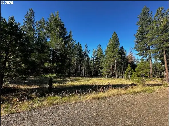 1 Carol Ln, Goldendale, WA 98620 - #1