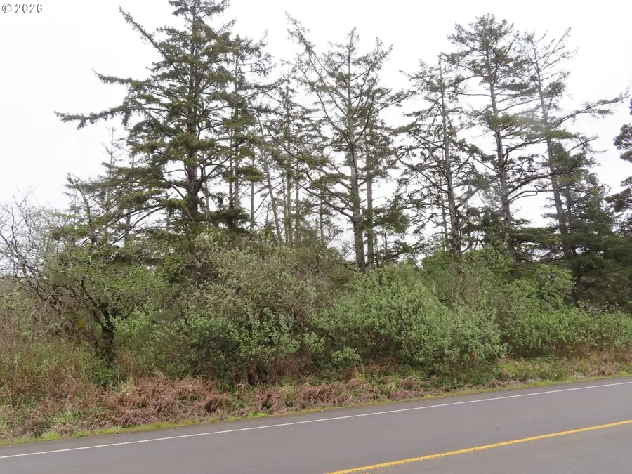 State Route 105, Grayland, WA 98547 - #2