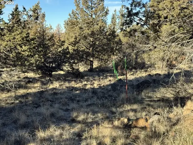 Canvasback Dr #5, Bonanza, OR 97623 - Image #2