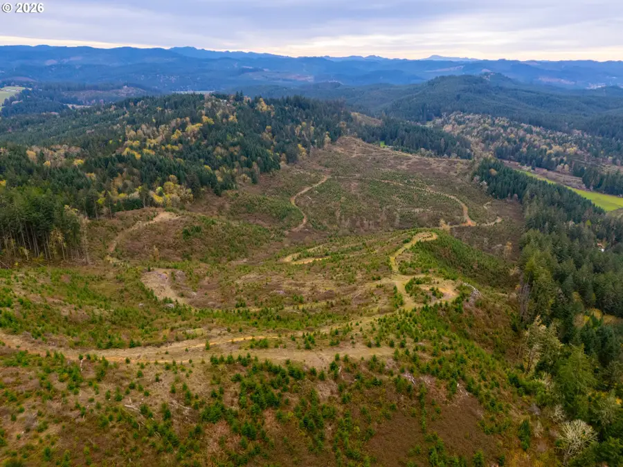 00 Erickson (tl300) Rd #300, Eugene, OR 97405 - #3