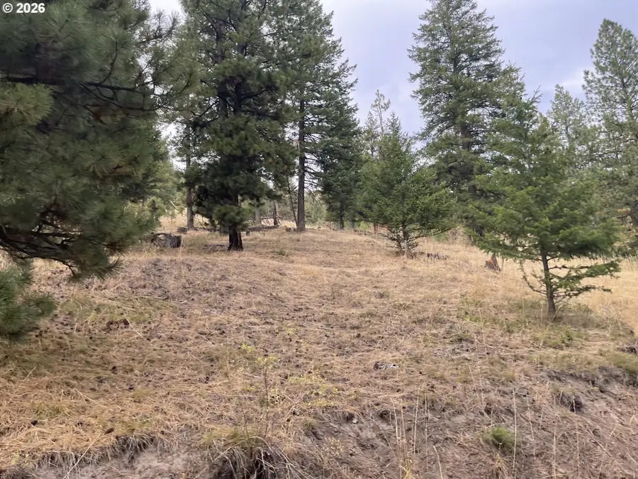 56021 Hanna Arbuckle Rd, Heppner, OR 97836 - #3