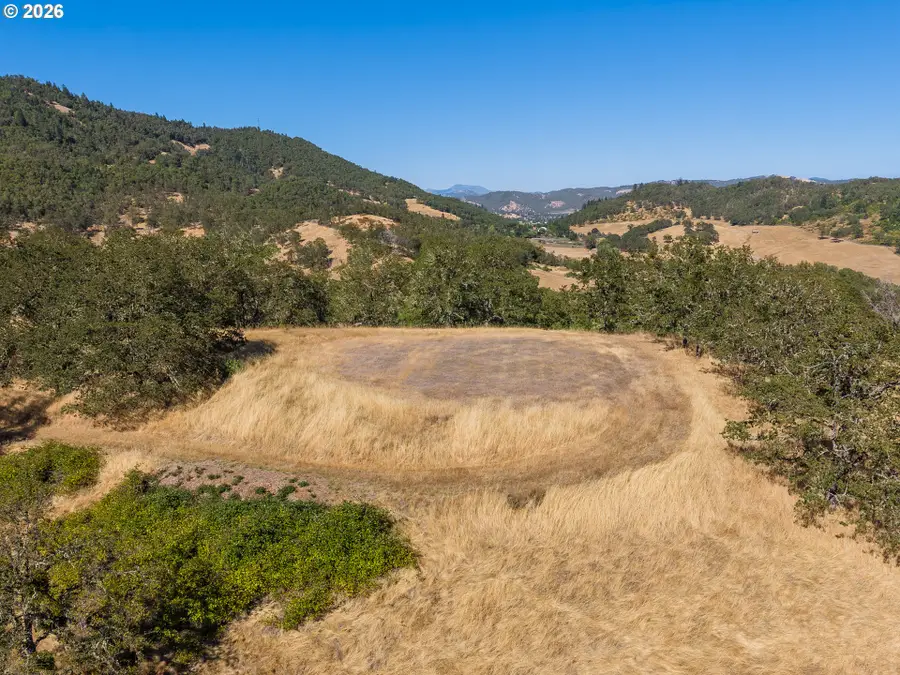 0 Lookingglass Rd #TL 203, Winston, OR 97496 - #3