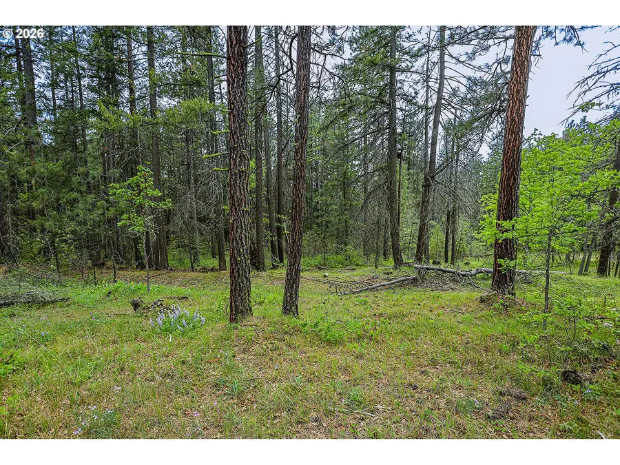 Nka Forest Glen Dr #37, Goldendale, WA 98620 - #3