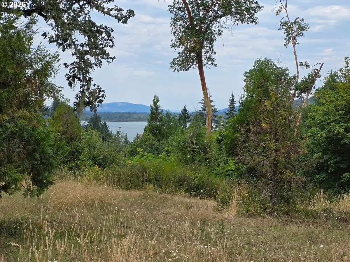 0 Hwy 58 #A, Lowell, OR 97452 - #1
