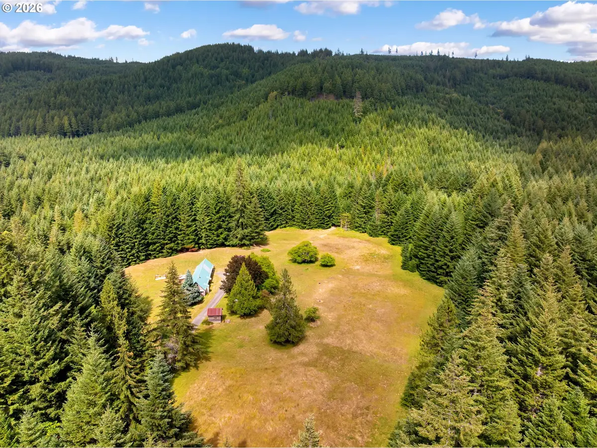 211 Young Rd, Cook, WA 98605 - #1
