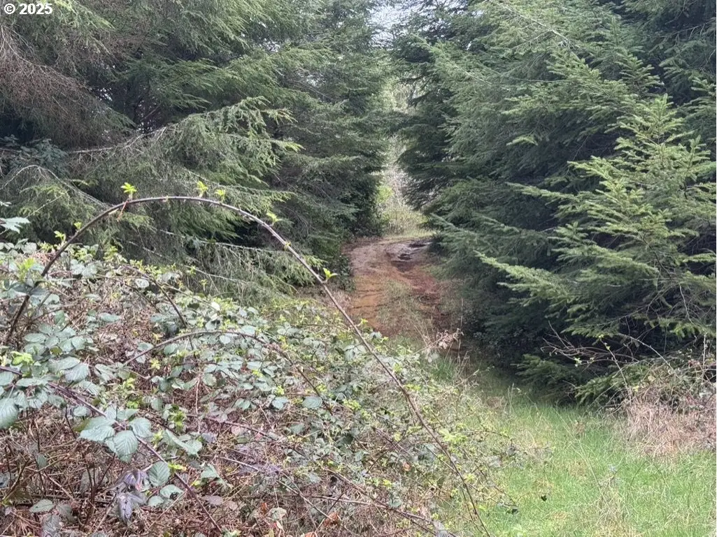 0 Wildberry Rd, Eastside, OR 97420 - Image #1