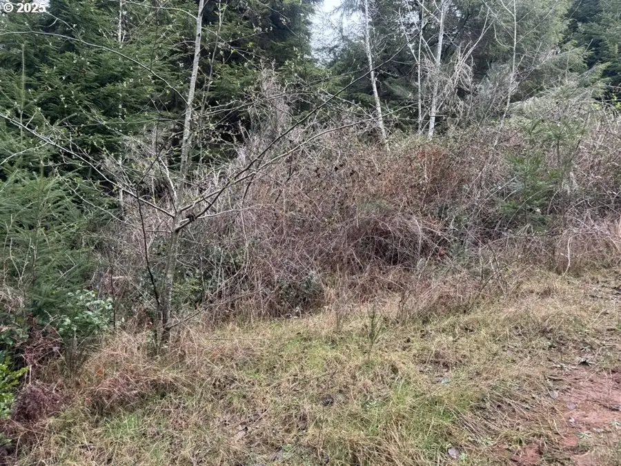 0 Wildberry Rd, Eastside, OR 97420 - Image #3