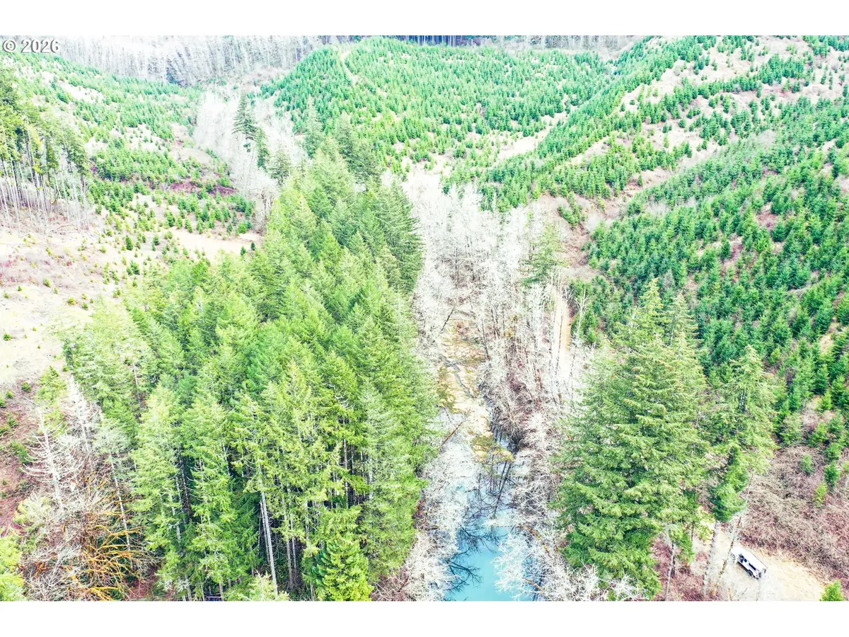 Marys Peak Rd #TL501, Blodgett, OR 97326 - #1