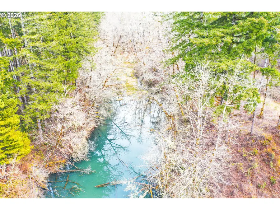 Marys Peak Rd #TL501, Blodgett, OR 97326 - #2