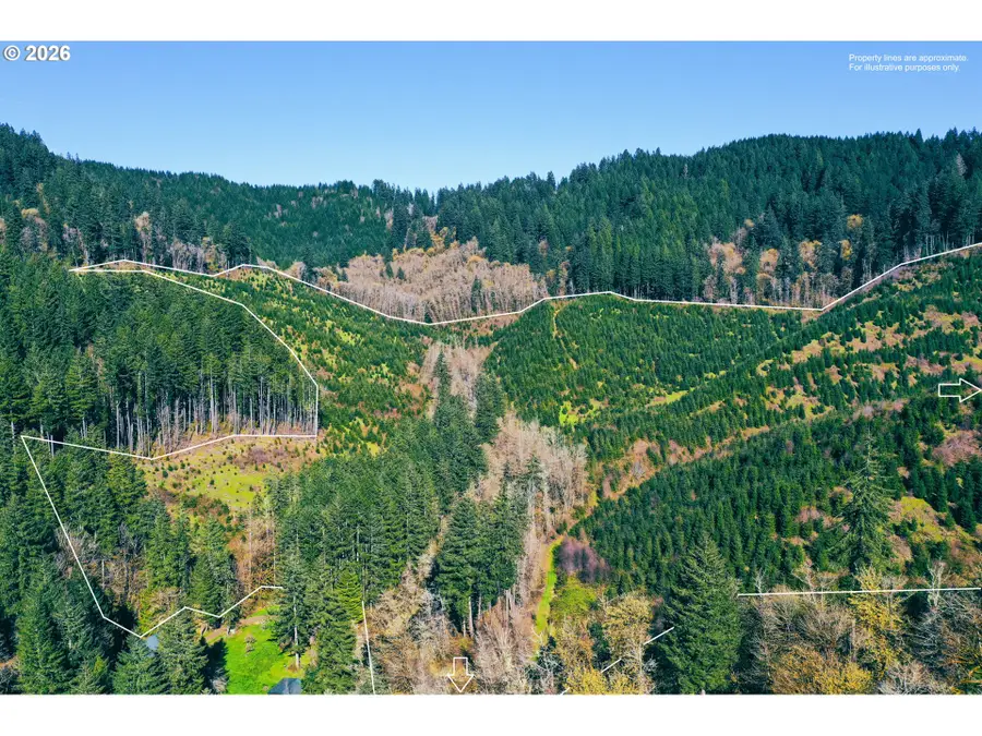 Marys Peak Rd #TL501, Blodgett, OR 97326 - #3