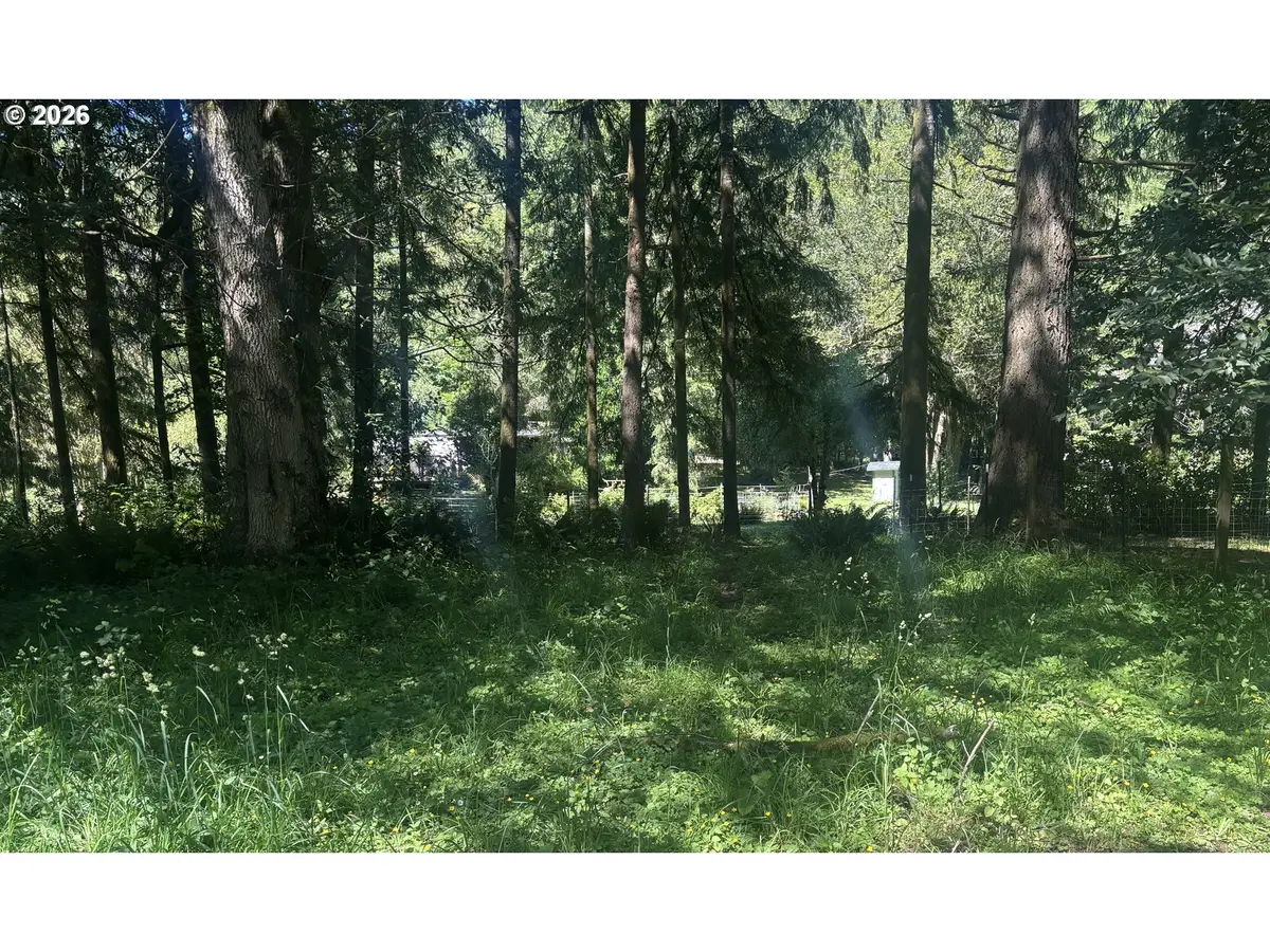 67126 Myrtle Grove Rd, Eastside, OR 97420 - #1