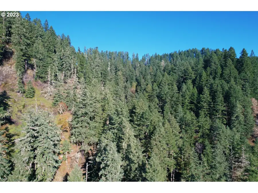 0 State Highway 38, Elkton, OR 97436 - Image #3