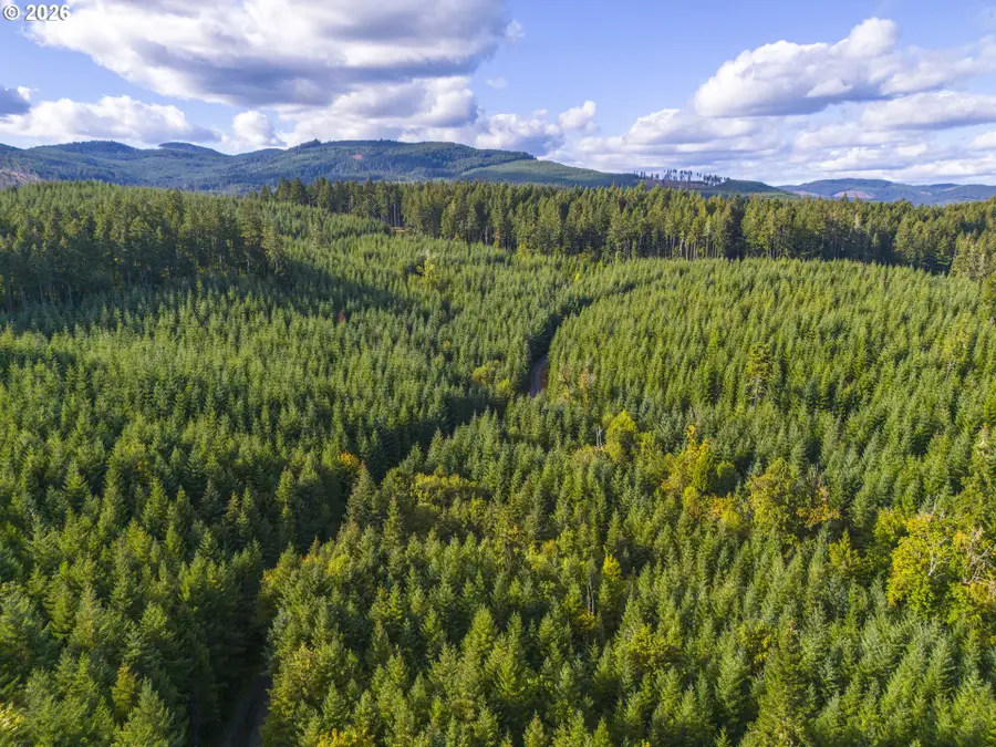 00 Meadow Lake Rd, Carlton, OR 97111 - #2