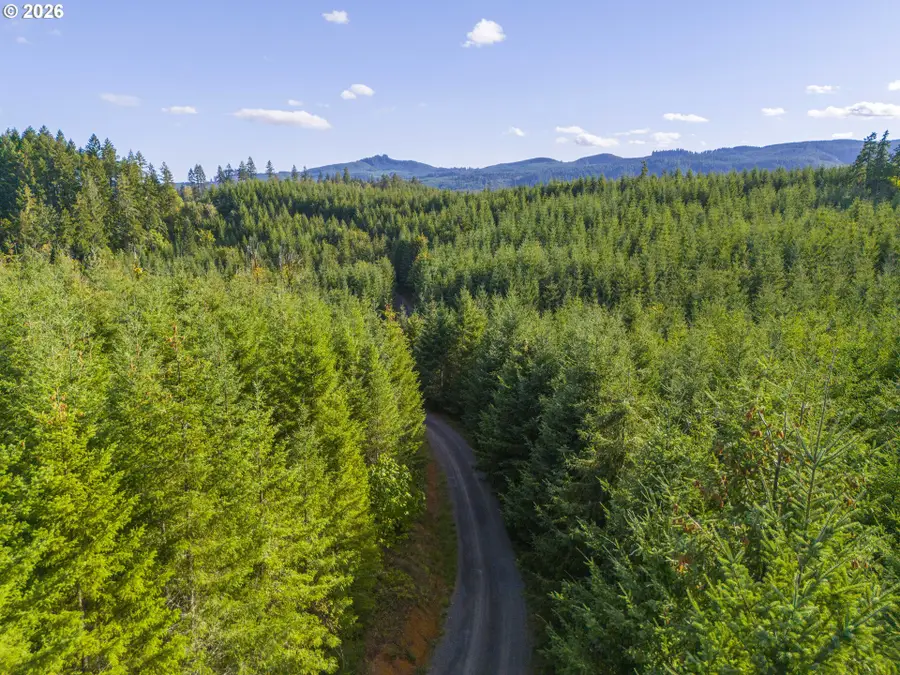 00 Meadow Lake Rd, Carlton, OR 97111 - #3
