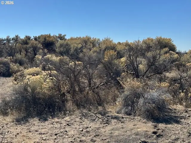 Hill Lane #900, Silver Lake Fort Rock, OR 97641 - #1