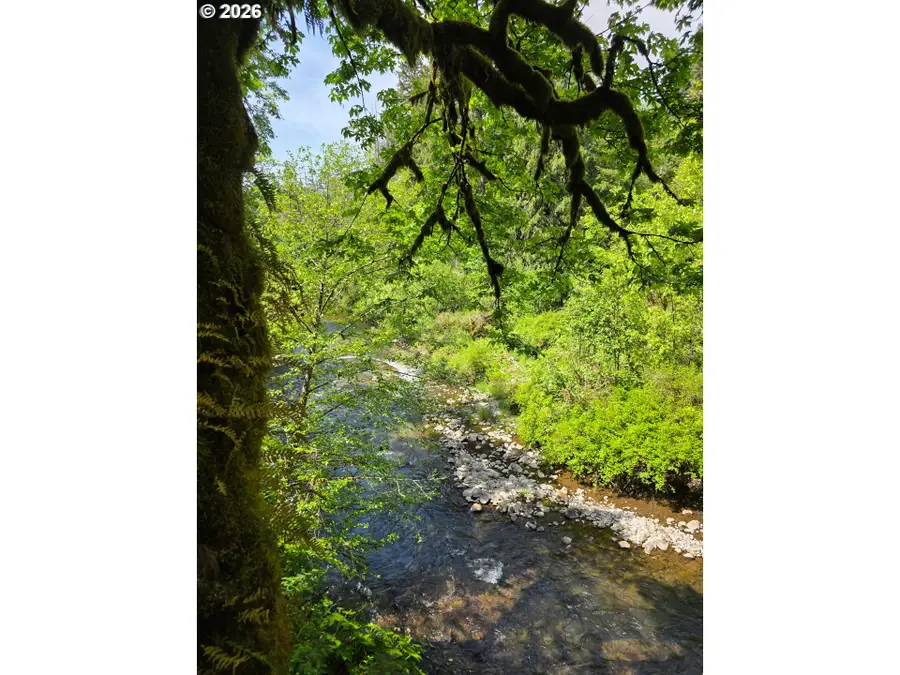 Lewis Cemetery Rd, Silverton, OR 97381 - #2