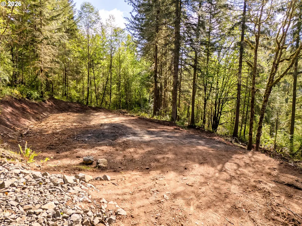 141 Old Spreadborough Rd, Kalama, WA 98625 - #1