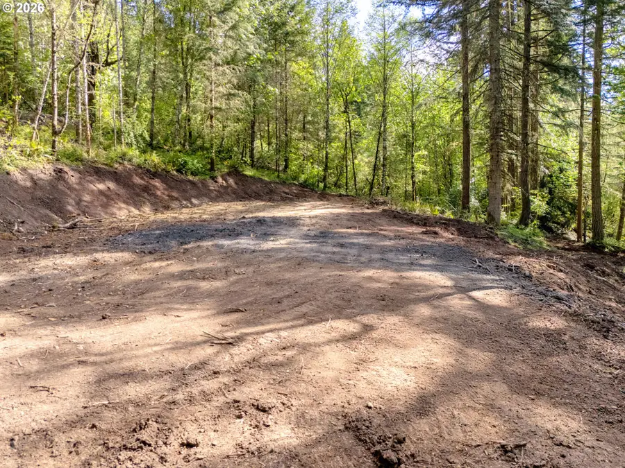 141 Old Spreadborough Rd, Kalama, WA 98625 - #3