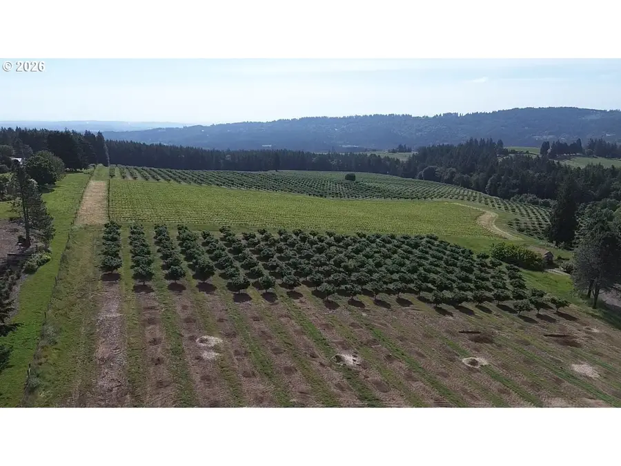 NE Lander Lot B, Sherwood, OR 97140 - #2