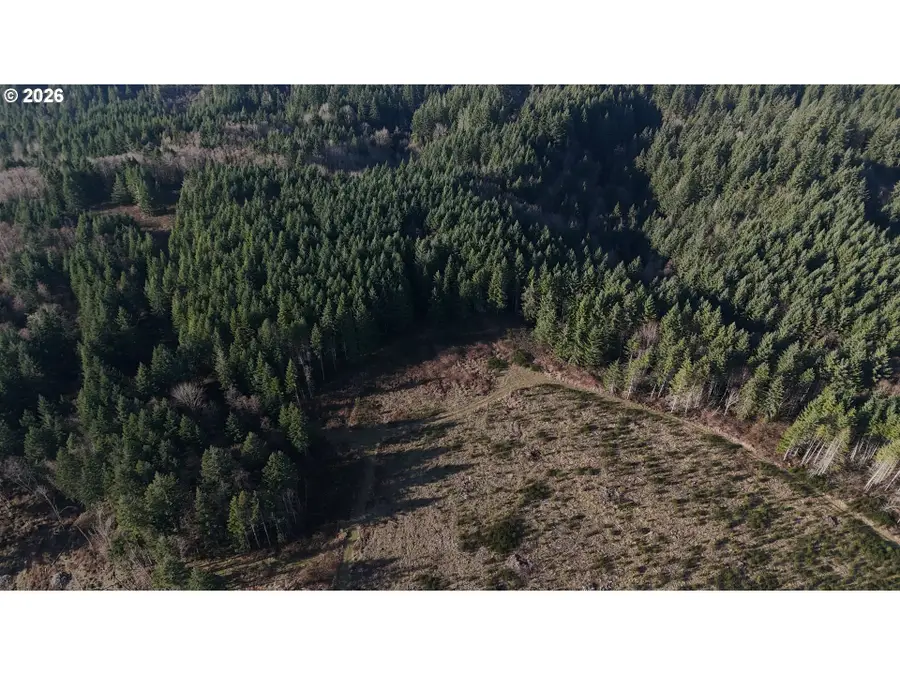 39775 SE Kitzmiller Rd, Eagle Creek, OR 97022 - #3