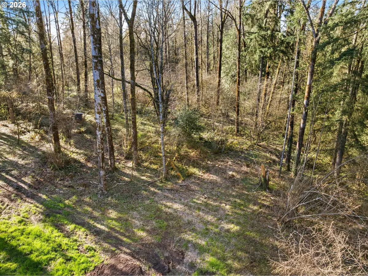 NE Sumac Ct, Brush Prairie, WA 98606 - #1
