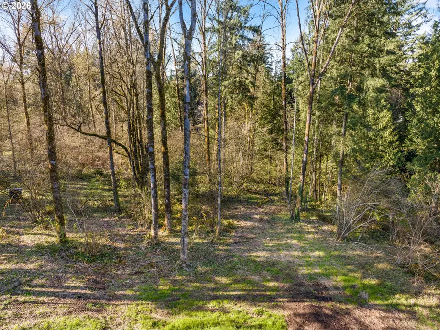 NE Sumac Ct, Brush Prairie, WA 98606 - #2