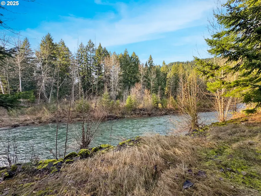 115 1st Ave, Randle, WA 98377 - #3