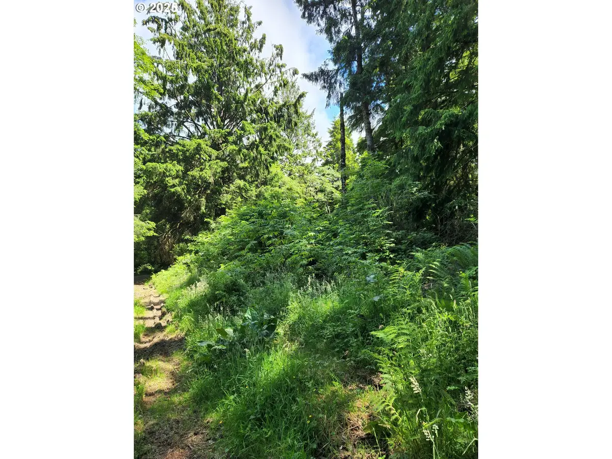 NE Necarney St, Rockaway Beach, OR 97136 - Image #1