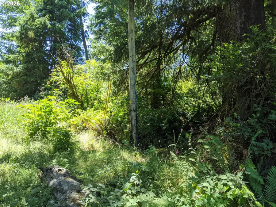 NE Necarney St, Rockaway Beach, OR 97136 - Image #2