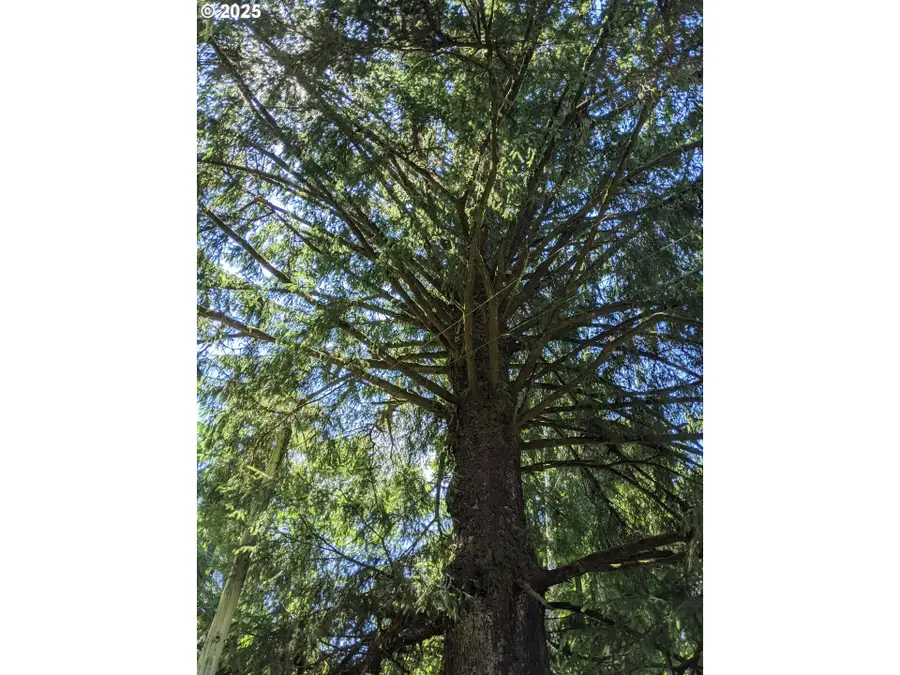 NE Necarney St, Rockaway Beach, OR 97136 - Image #3