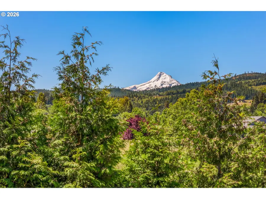 2939 Wyeast Rd, Odell, OR 97031 - #3