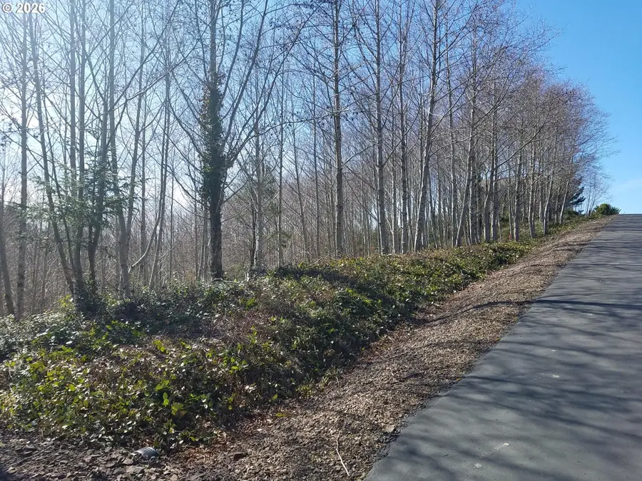 Holly Heights Ave #TL 223, Netarts, OR 97143 - #2