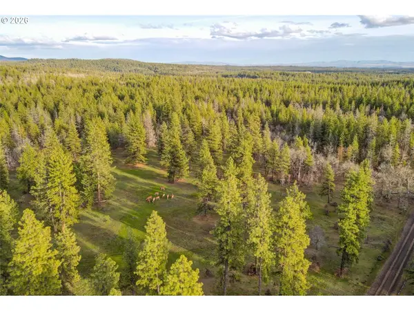 0 Lot 15 Greyback Mt Rd, Goldendale, WA 98620