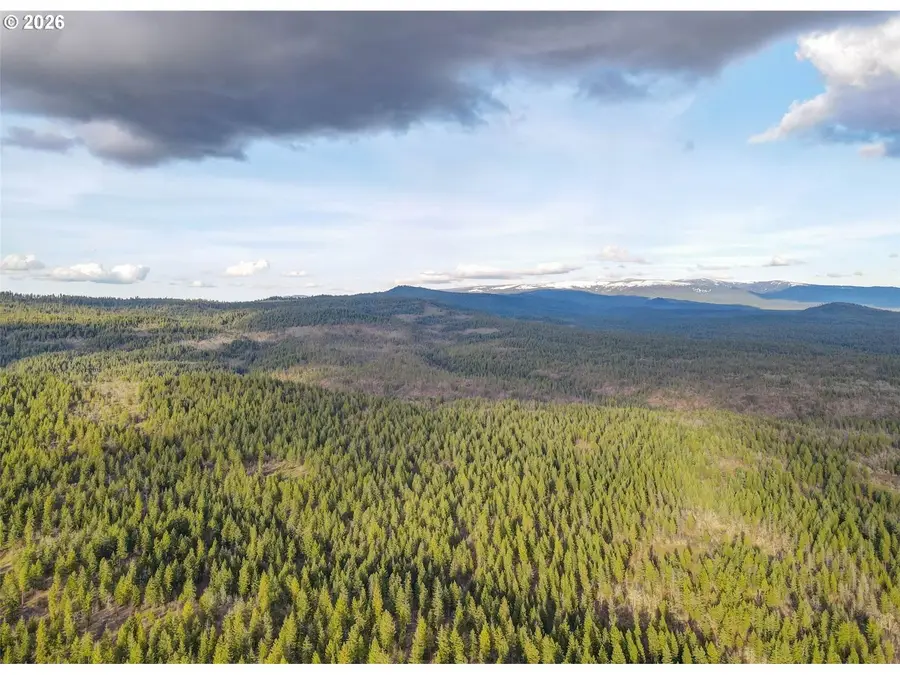 0 Lot 15 Greyback Mt Rd, Goldendale, WA 98620 - #2