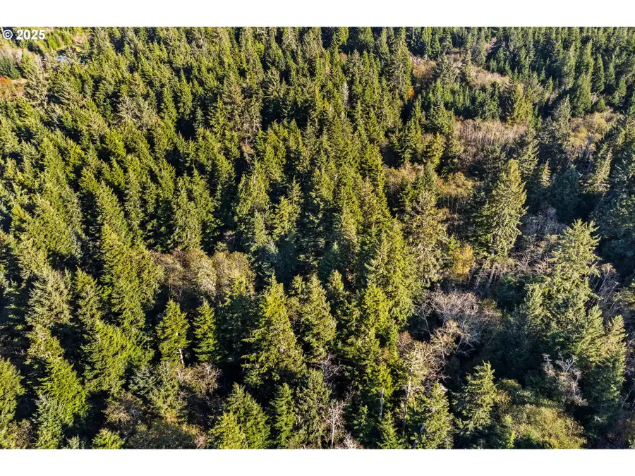 Lot 35, Southbend, WA 98586 - Image #3