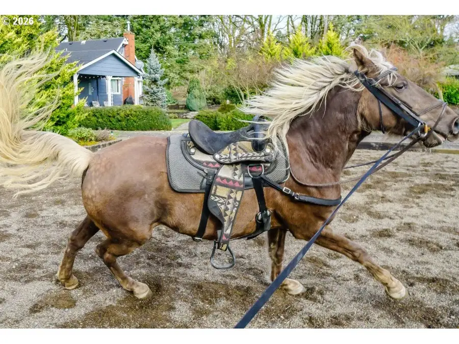 24618 Highway 99 W, Southeast Benton, OR 97448 - Image #2