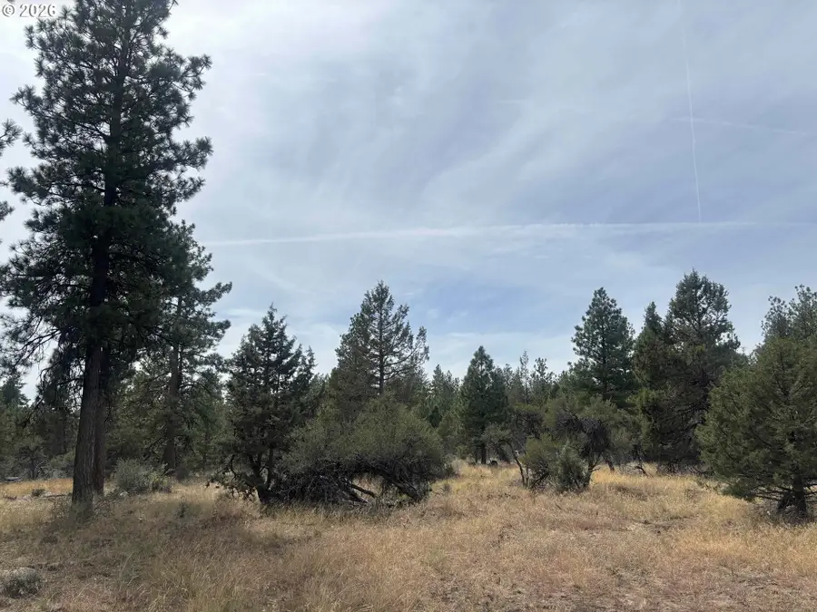 Wildhorse Dr, Bonanza, OR 97623 - #3