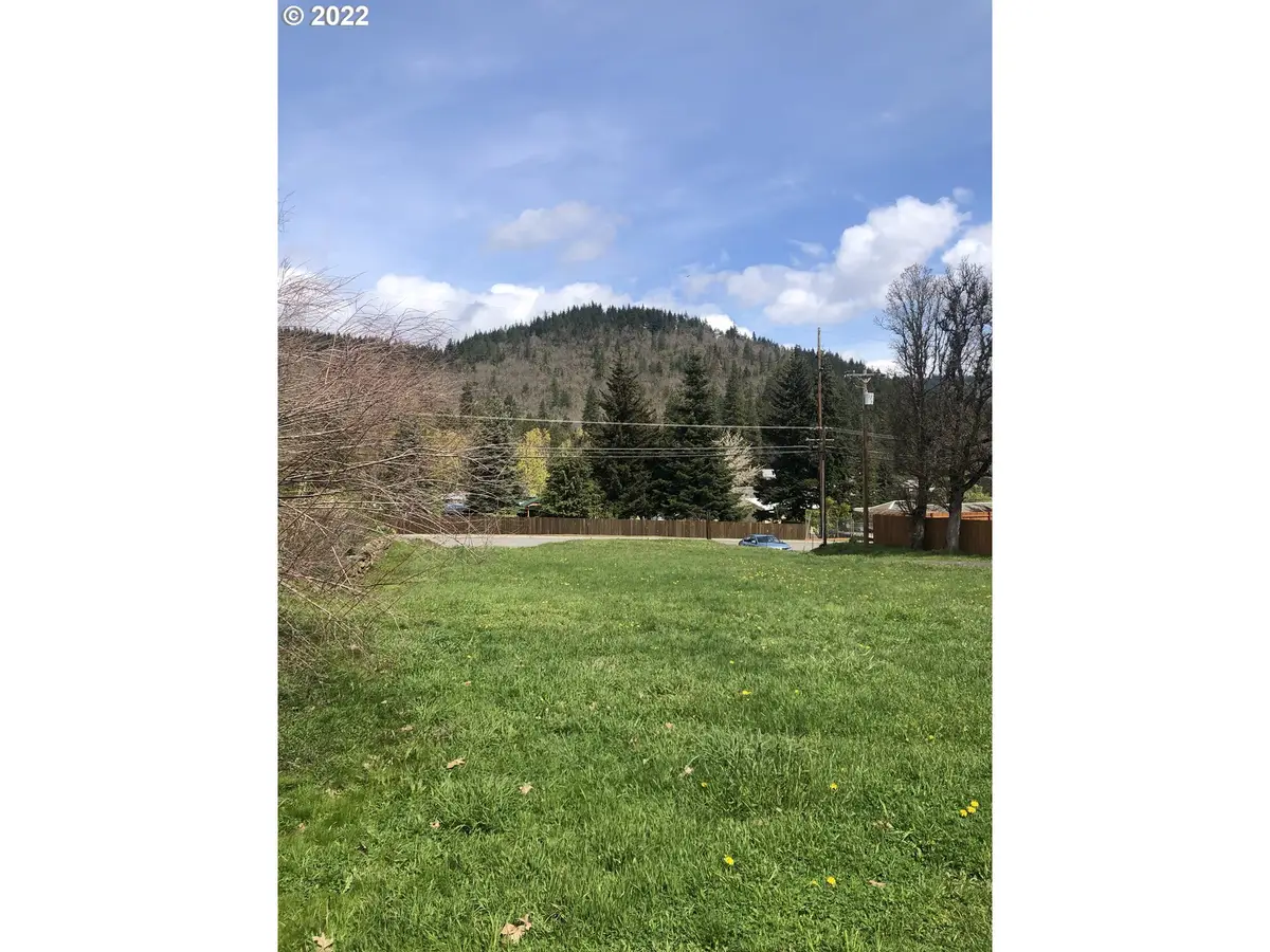 145 Loop Rd, White Salmon, WA 98672 - #1