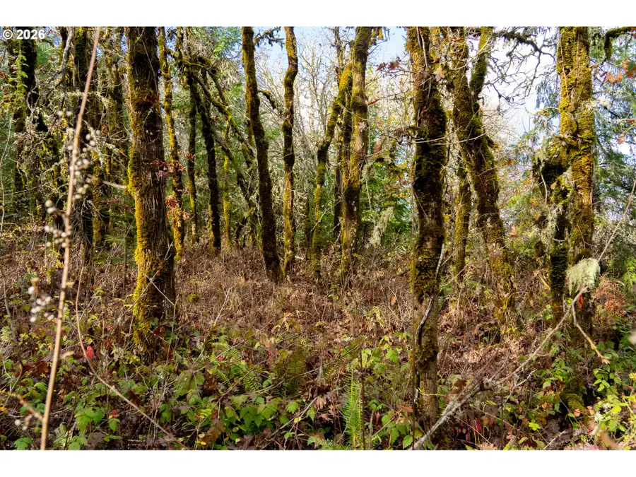 0 Mistletoe Dr, Dallas, OR 97338 - #3