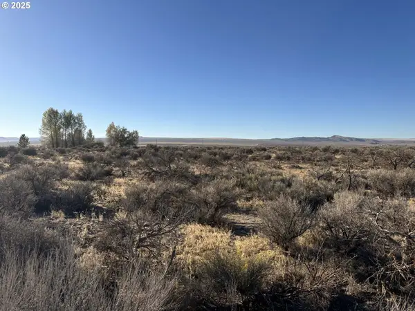 Pinion Lane, ChristmasValley, OR 97641