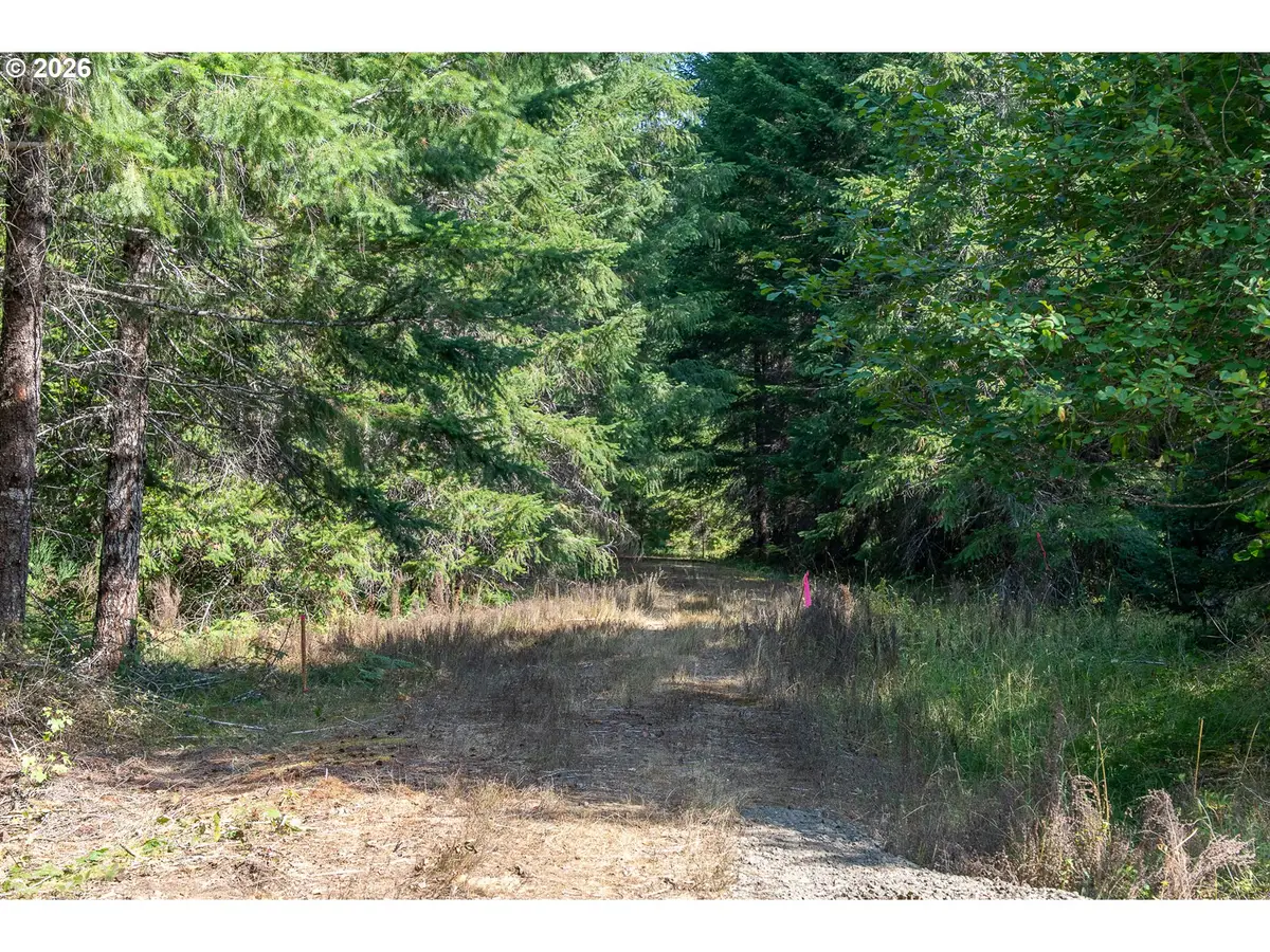 Hawk Meadows Rd #3, Carson, WA 98610 - #1