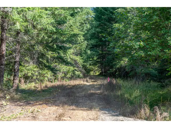 Hawk Meadows Rd #3, Carson, WA 98610