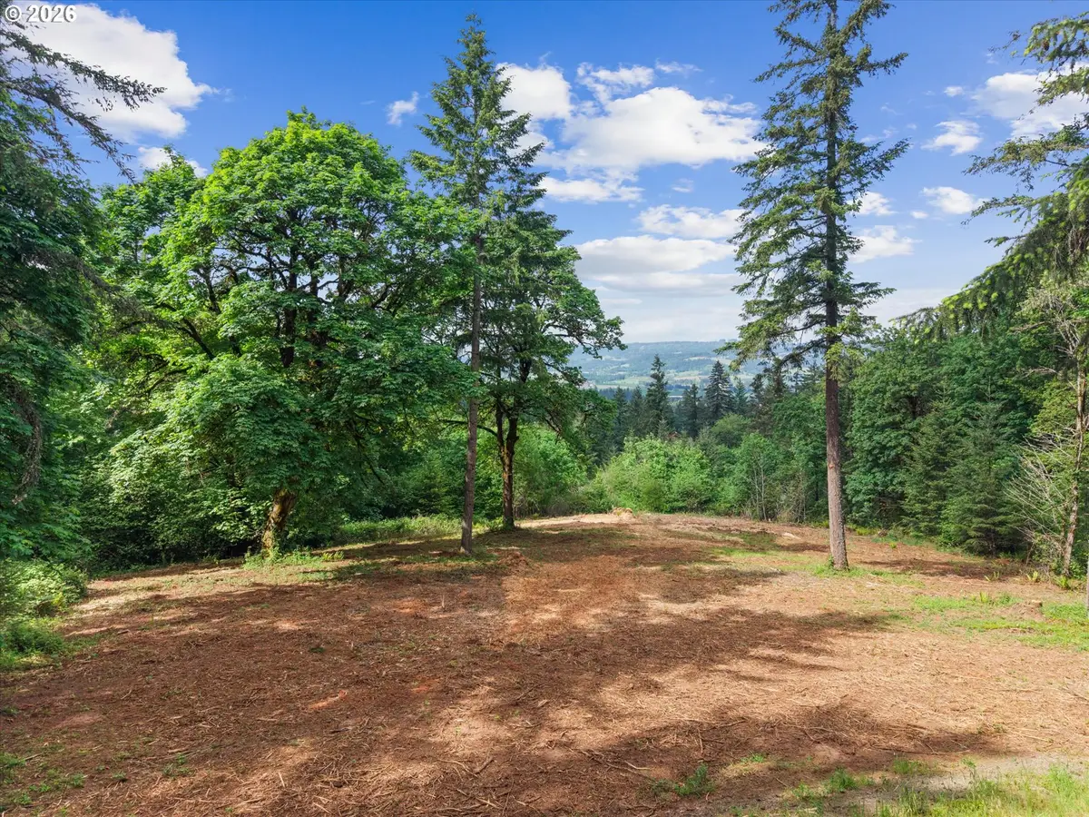 18755 NE Buena Vista Dr, Dundee, OR 97115 - #1