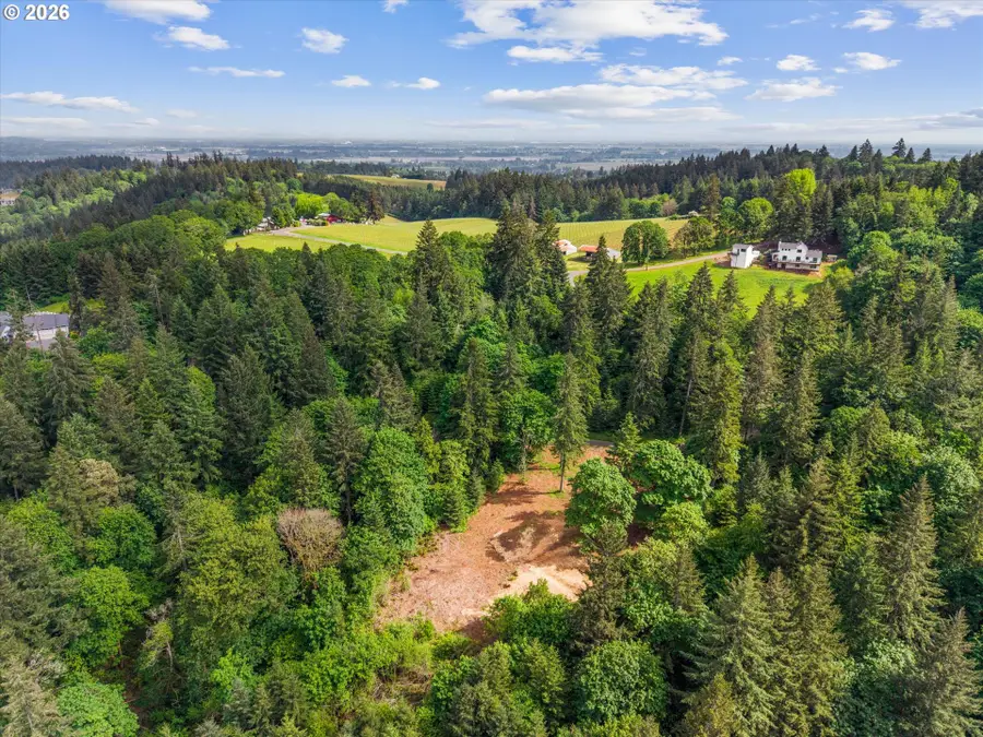 18755 NE Buena Vista Dr, Dundee, OR 97115 - #3