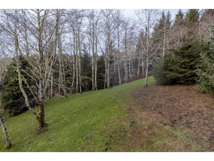 2600 Aleolian, Neskowin, OR 97149 - #2