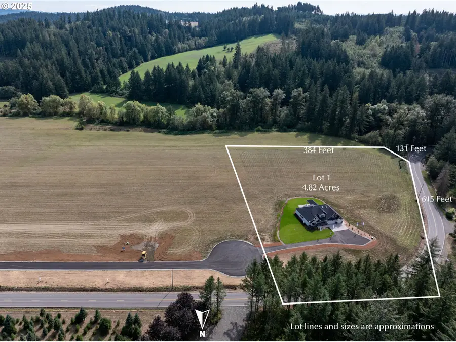 16401 NE 278th St, Lewisville, WA 98604 - Image #3