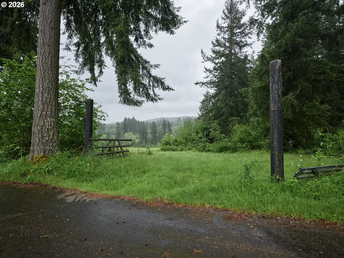00 NE 389th St, Amboy, WA 98601 - #1