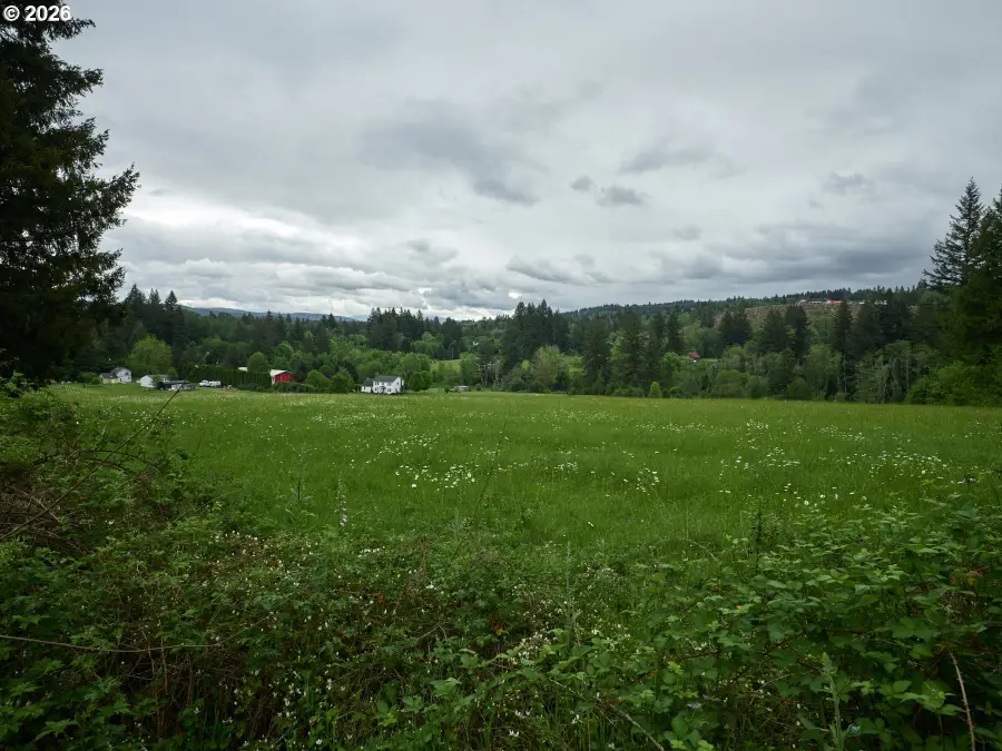 00 NE 389th St, Amboy, WA 98601 - #3
