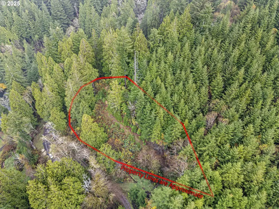 600 Erlandson Rd, Florence, OR 97439 - Image #3