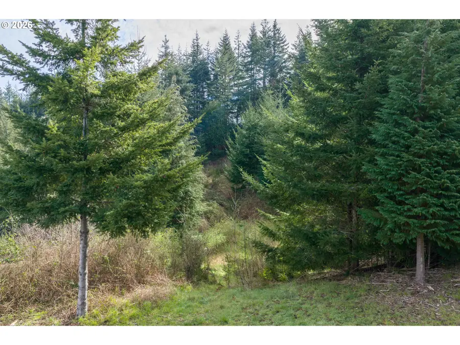 93549 Patterson Ln, Coos Bay, OR 97420 - #3